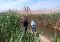 El Ayuntamiento de Peñíscola programa el dragado del sistema de acequias del marjal para evitar  inundaciones
