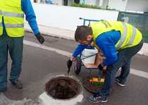 Desde el pasado mes de marzo, el área de Medio Ambiente está coordinando los trabajos de las empresas especializadas en materia de control de plagas