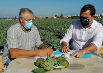 El Ayuntamiento de Peñíscola suscribe un convenio de colaboración con el Consell Regulador de la D.O Carxofa de Benicarló