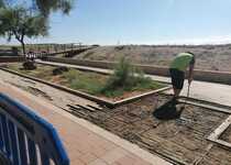 El Ayuntamiento de Peñíscola mejora el entarimado de madera del Paseo Marítimo frente al edificio Argenta