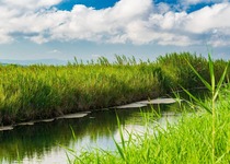 El Ayuntamiento de Peñíscola dragará la acequia Sangonera en septiembre tras haber recibido este verano la autorización de Generalitat 