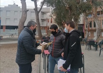 Peñíscola se activa para desplazar las masas de aves en arbolado del núcleo urbano hacia zonas verdes próximas