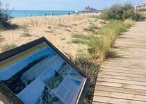 Peñíscola revalida su Sendero Azul para la pasarela medioambiental en su Playa Norte