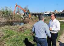 Comienzan los trabajos de mantenimiento y conservación del marjal