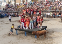 Las Amas de Casa dan comienzo a la fiesta taurina en Peñíscola