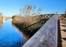 Presentación del libro: RUTAS AZULES POR LOS PAISAJES DEL AGUA DE CASTELLON. Que incluye el MARJAL de Peñíscola