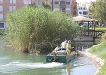 El Ayuntamiento de Peñíscola continúa con las fumigaciones para los mosquitos