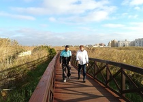 El Ayuntamiento de Peñíscola restaura la pasarela de madera ubicada en el marjal